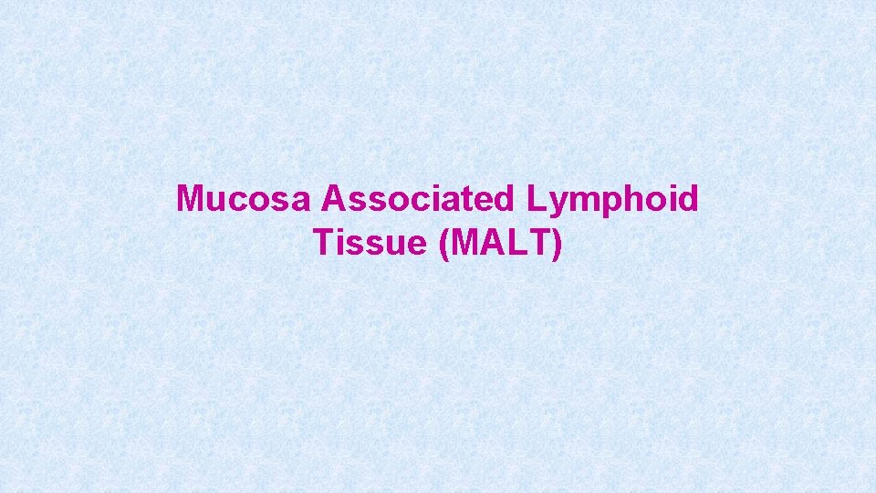 Mucosa Associated Lymphoid Tissue (MALT) 