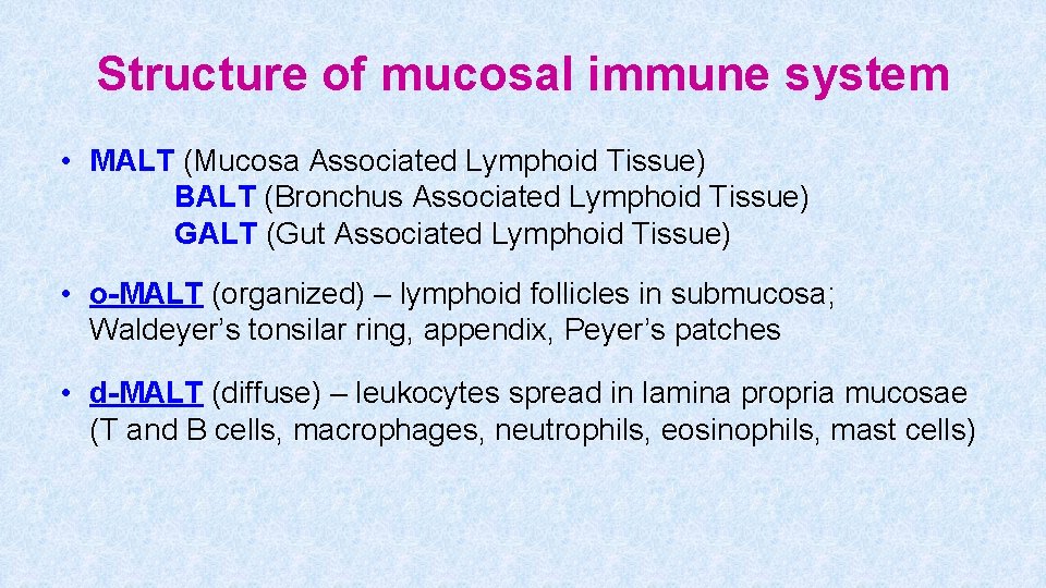Structure of mucosal immune system • MALT (Mucosa Associated Lymphoid Tissue) BALT (Bronchus Associated