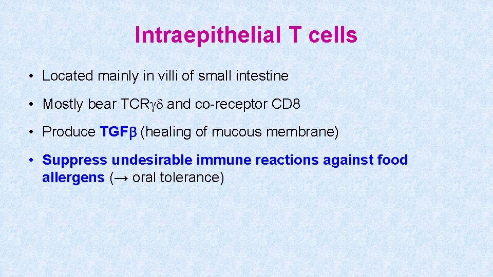 Intraepithelial T cells • Located mainly in villi of small intestine • Mostly bear