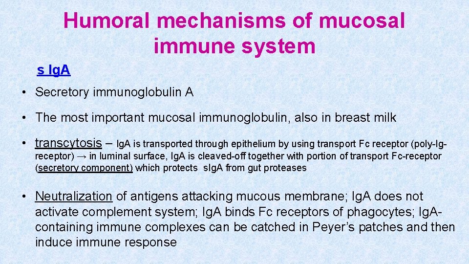 Humoral mechanisms of mucosal immune system s Ig. A • Secretory immunoglobulin A •