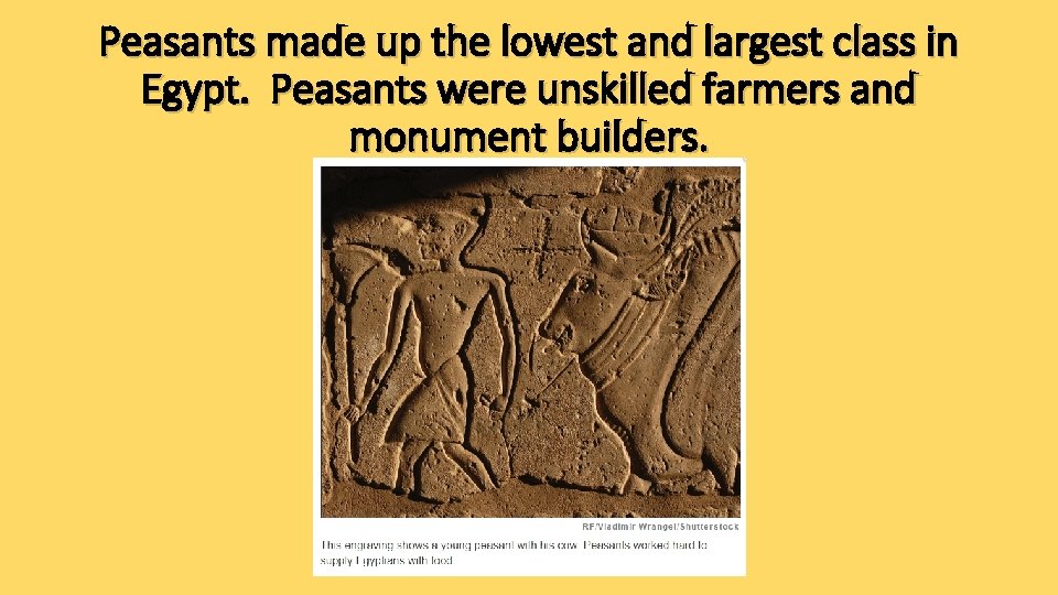 Peasants made up the lowest and largest class in Egypt. Peasants were unskilled farmers Peasants made up the lowest and largest class in Egypt. Peasants were unskilled farmers