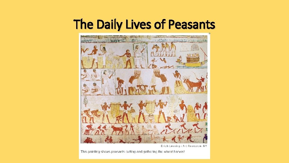 The Daily Lives of Peasants The Daily Lives of Peasants