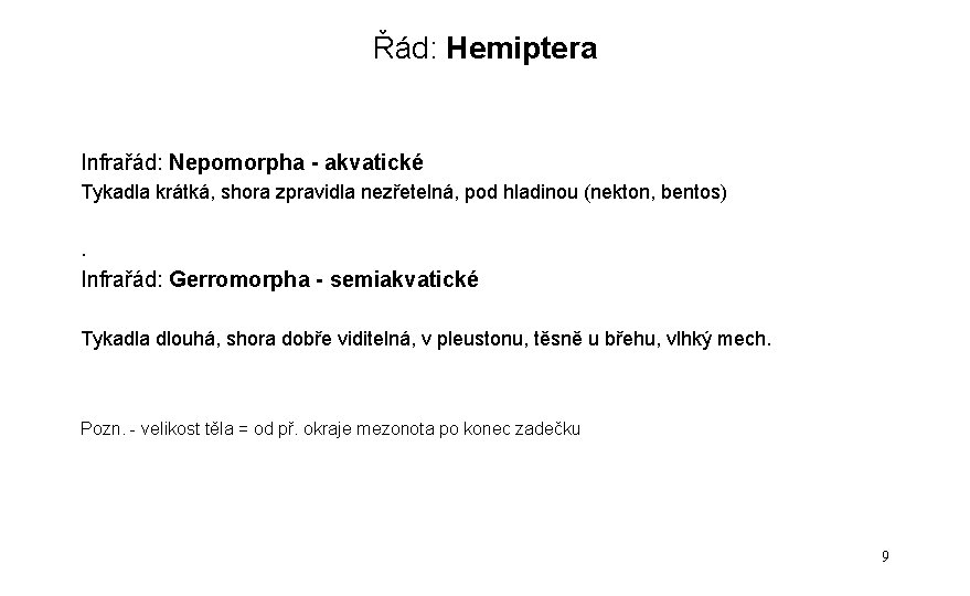 Řád: Hemiptera Infrařád: Nepomorpha - akvatické Tykadla krátká, shora zpravidla nezřetelná, pod hladinou (nekton,