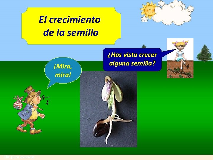 El crecimiento de la semilla ¡Mira, mira! Clic para avanzar ¿Has visto crecer alguna El crecimiento de la semilla ¡Mira, mira! Clic para avanzar ¿Has visto crecer alguna