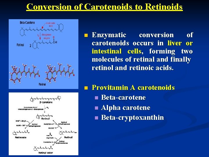 Conversion of Carotenoids to Retinoids n Enzymatic conversion of carotenoids occurs in liver or