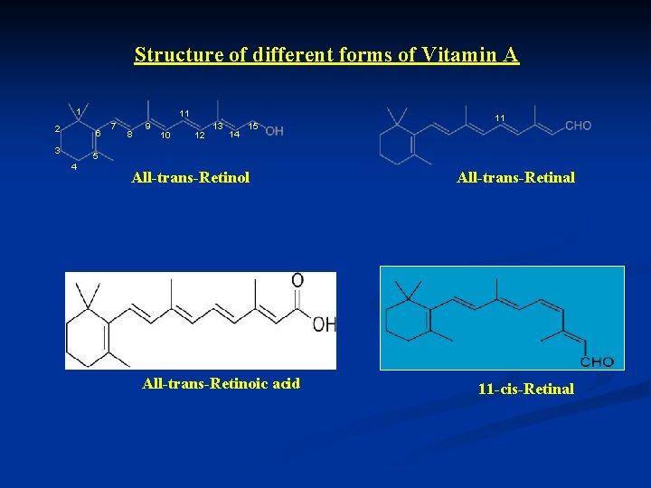 Structure of different forms of Vitamin A 1 2 11 6 3 7 8