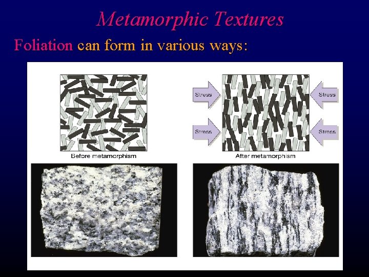 Metamorphic Textures Foliation can form in various ways: 