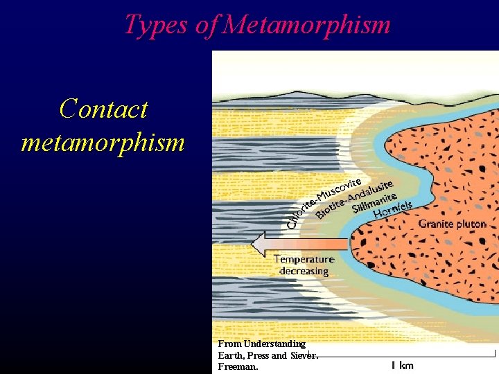 Types of Metamorphism Contact metamorphism From Understanding Earth, Press and Siever. Freeman. 