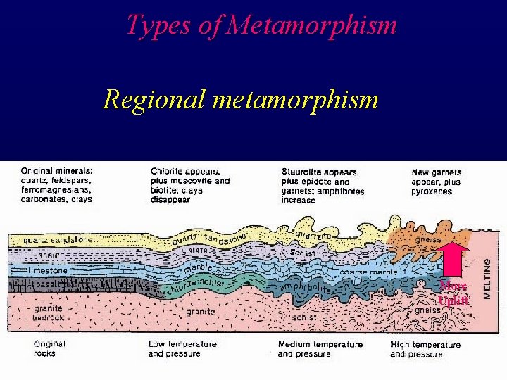 Types of Metamorphism Regional metamorphism More Uplift 