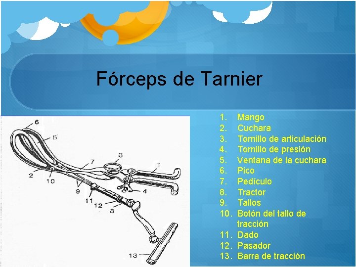 Fórceps de Tarnier 1. 2. 3. 4. 5. 6. 7. 8. 9. 10. Mango