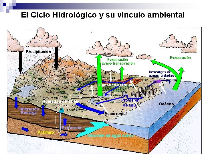 El Ciclo Hidrológico y su vínculo ambiental Precipitación Evaporación Evapo-transpiración Evaporación Descargas de aguas