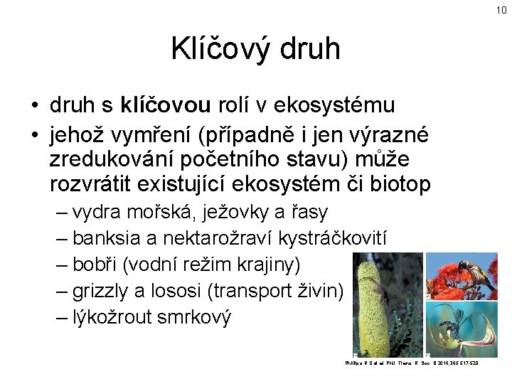 10 Klíčový druh • druh s klíčovou rolí v ekosystému • jehož vymření (případně