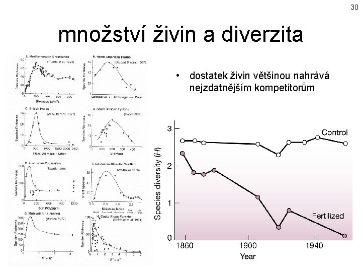 30 množství živin a diverzita • dostatek živin většinou nahrává nejzdatnějším kompetitorům 