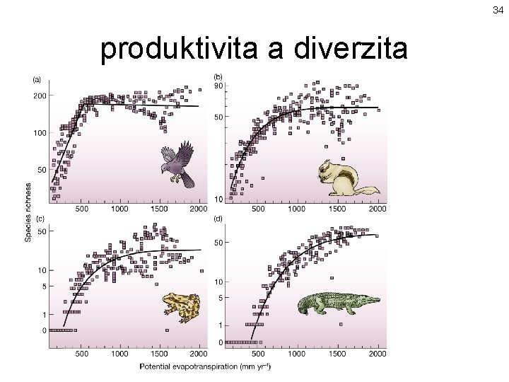 34 produktivita a diverzita 