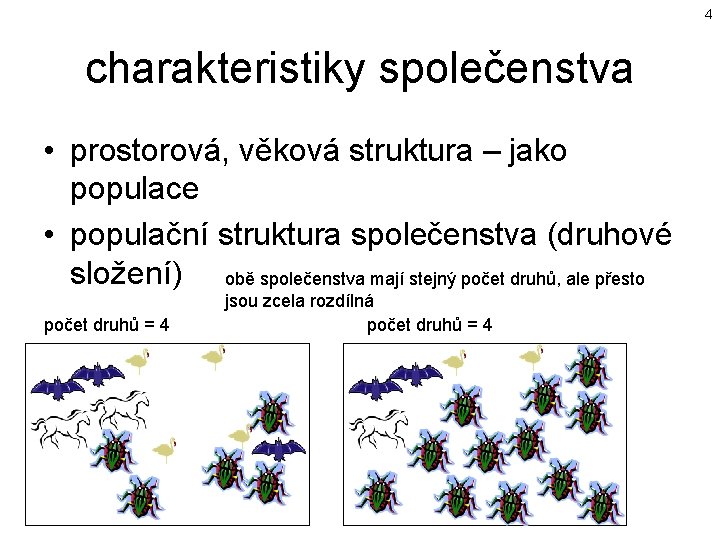 4 charakteristiky společenstva • prostorová, věková struktura – jako populace • populační struktura společenstva