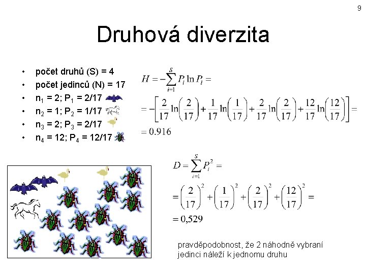 9 Druhová diverzita • • • počet druhů (S) = 4 počet jedinců (N)