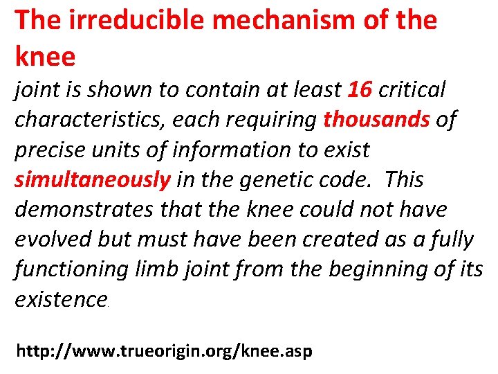 The irreducible mechanism of the knee joint is shown to contain at least 16