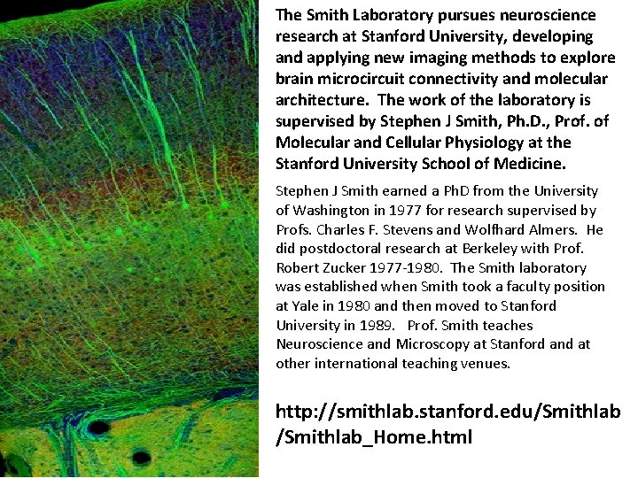 The Smith Laboratory pursues neuroscience research at Stanford University, developing and applying new imaging