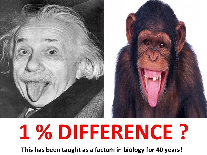  1 % DIFFERENCE ? This has been taught as a factum in biology