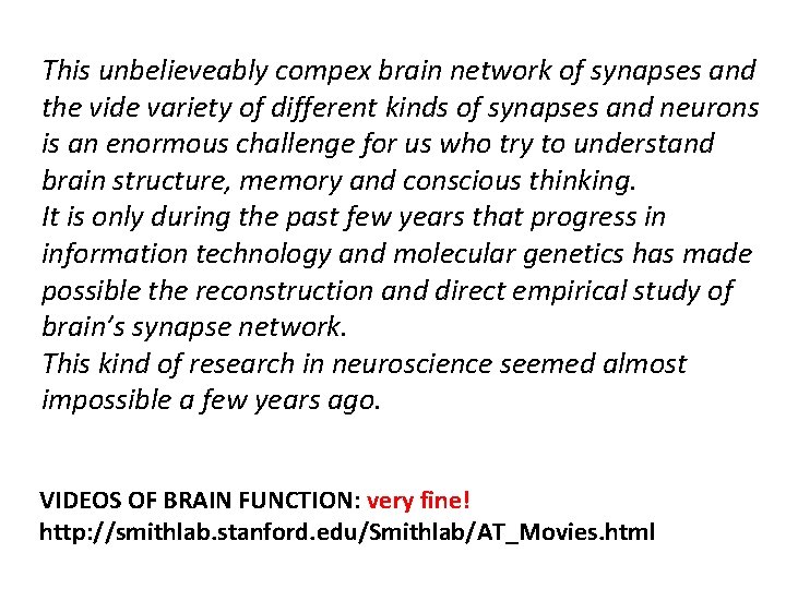 This unbelieveably compex brain network of synapses and the vide variety of different kinds