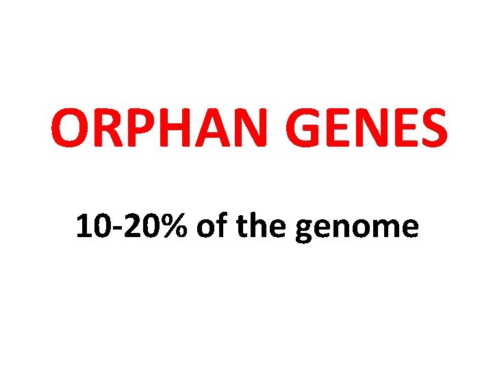  ORPHAN GENES 10 -20% of the genome 