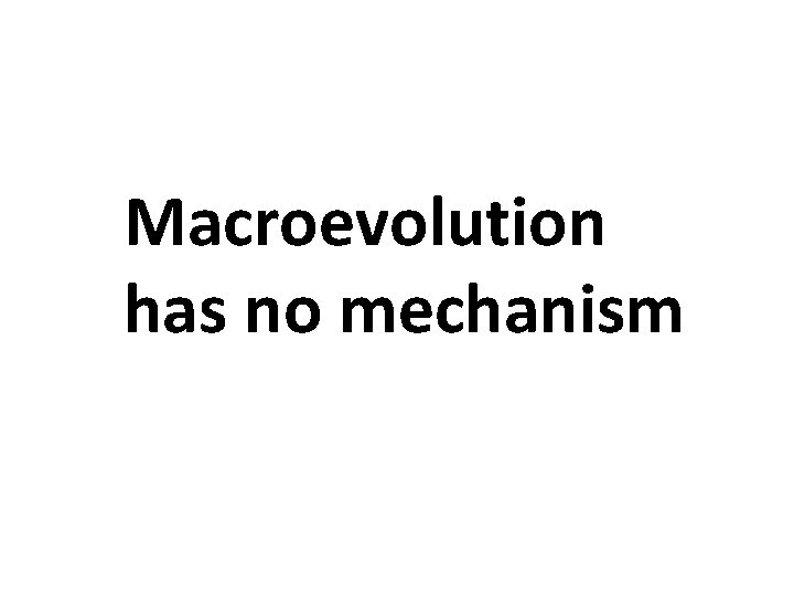  Macroevolution has no mechanism 