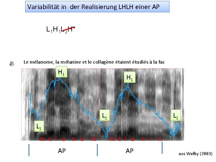 Variabilität in der Realisierung LHLH einer AP L 1 H 1 L 2 H*