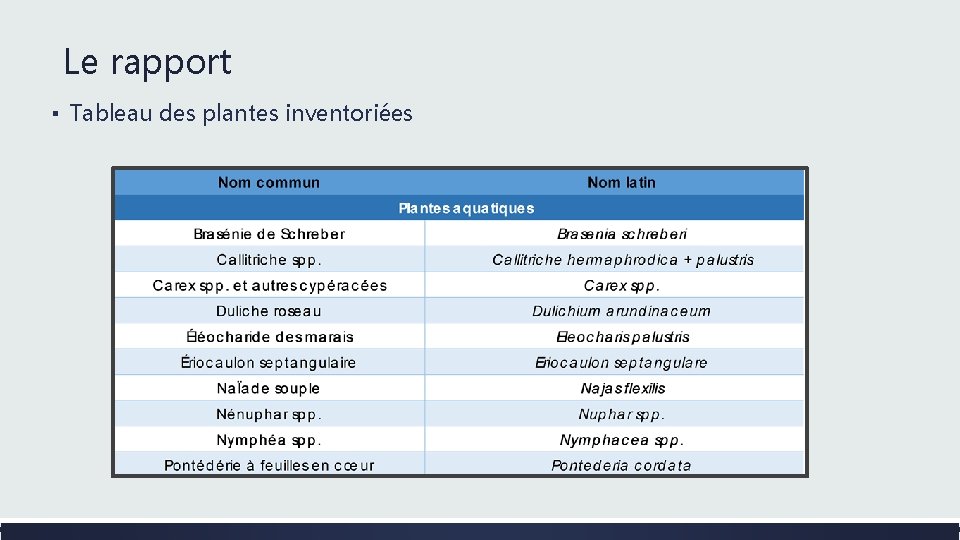 Le rapport ▪ Tableau des plantes inventoriées 