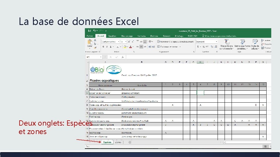 La base de données Excel Deux onglets: Espèces et zones 