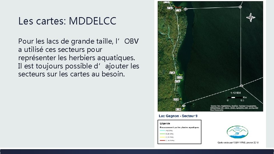 Les cartes: MDDELCC Pour les lacs de grande taille, l’OBV a utilisé ces secteurs