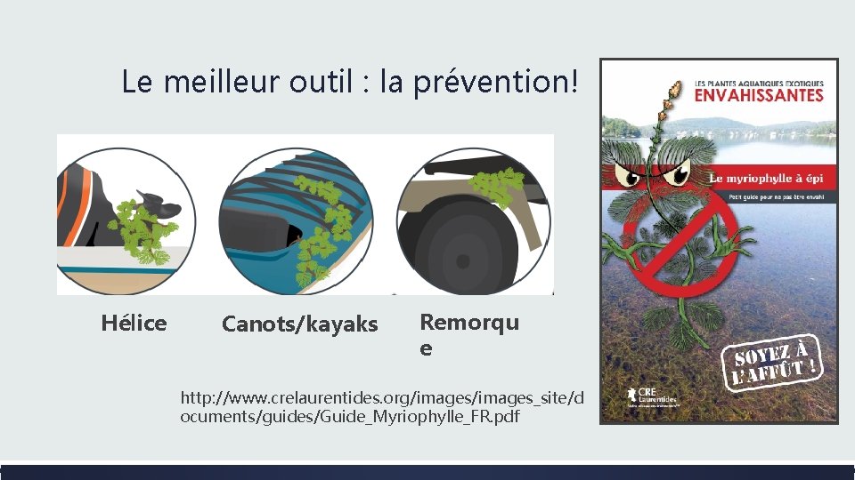 Le meilleur outil : la prévention! Hélice Canots/kayaks Remorqu e http: //www. crelaurentides. org/images_site/d