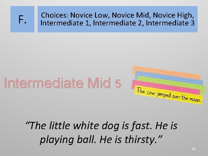 F. Choices: Novice Low, Novice Mid, Novice High, Intermediate 1, Intermediate 2, Intermediate 3
