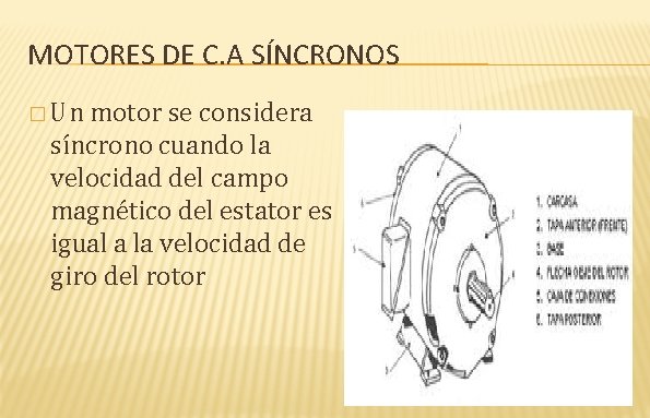 MOTORES DE C. A SÍNCRONOS � Un motor se considera síncrono cuando la velocidad