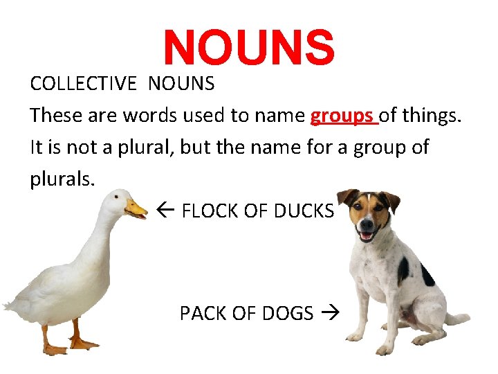 NOUNS COLLECTIVE NOUNS These are words used to name groups of things. It is