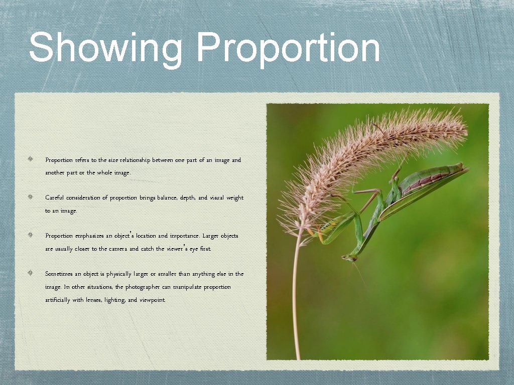 Showing Proportion refers to the size relationship between one part of an image and