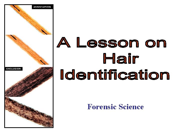 Forensic Science 