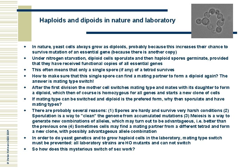 Haploids and dipoids in nature and laboratory w w w © Stefan Hohmann 2000