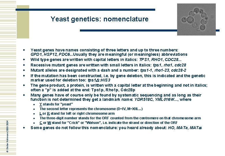 Yeast genetics: nomenclature w w w w Yeast genes have names consisting of three