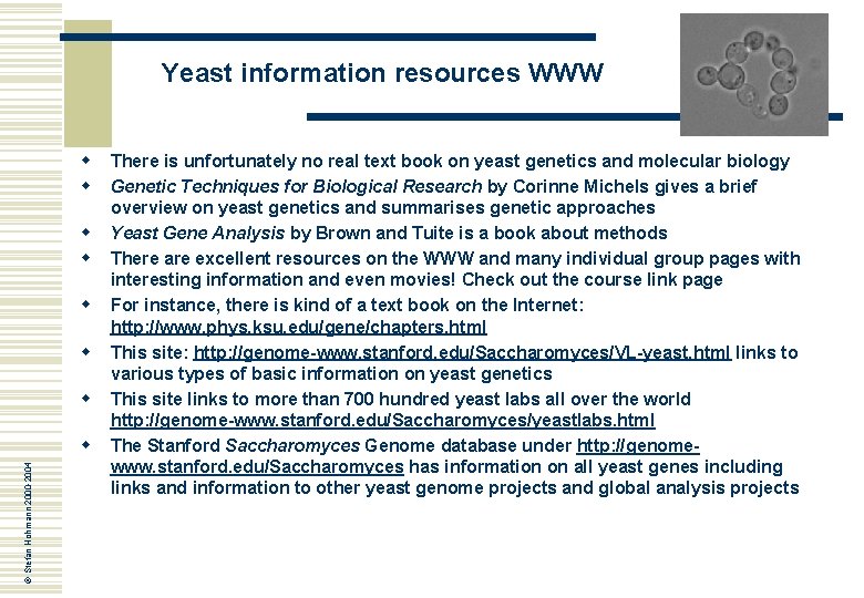 Yeast information resources WWW w w w w © Stefan Hohmann 2000 -2004 w