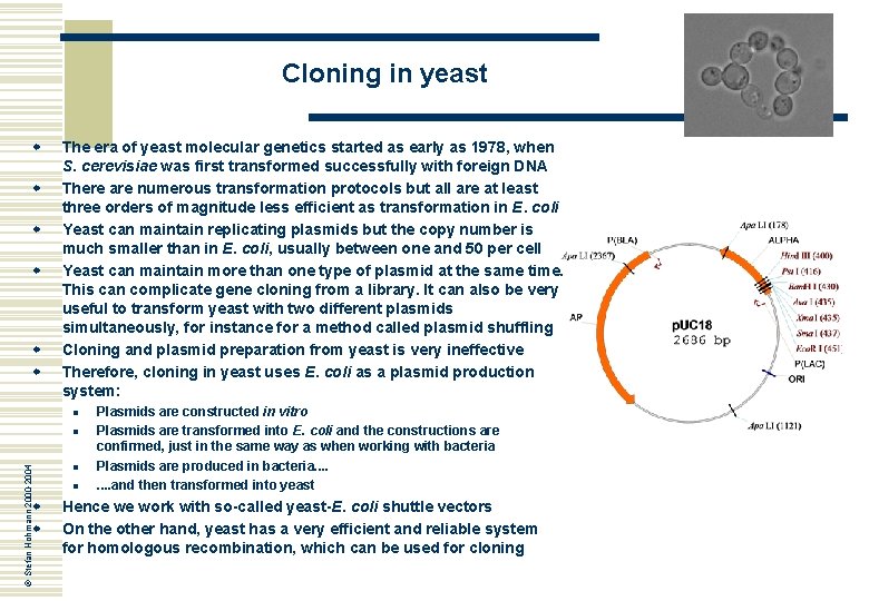 Cloning in yeast w w w The era of yeast molecular genetics started as