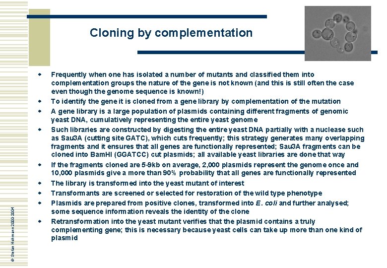 Cloning by complementation w w w © Stefan Hohmann 2000 -2004 w w Frequently