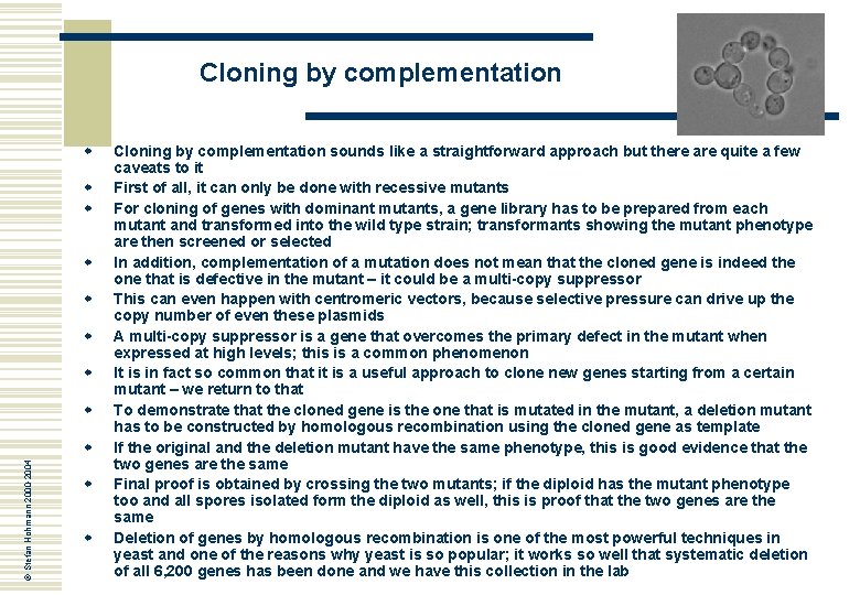 Cloning by complementation w w w w © Stefan Hohmann 2000 -2004 w w