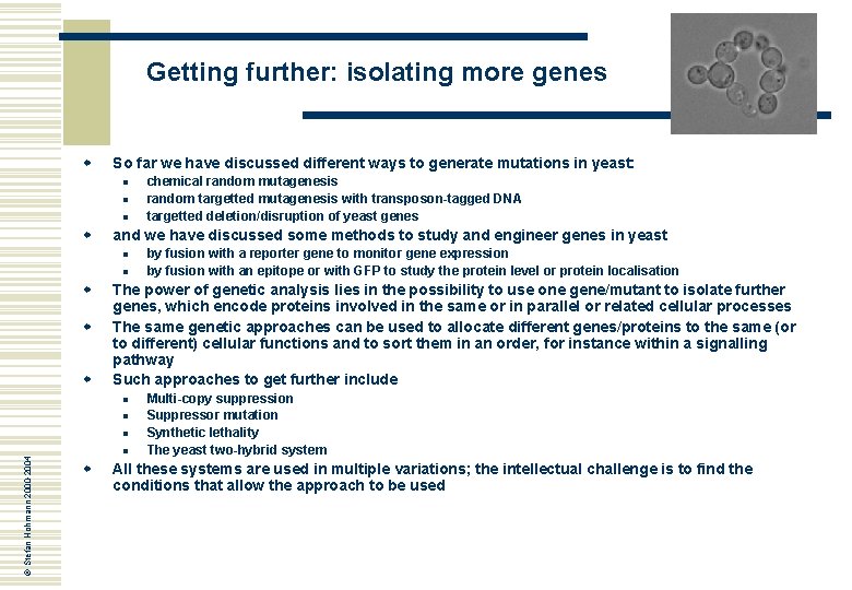 Getting further: isolating more genes w So far we have discussed different ways to
