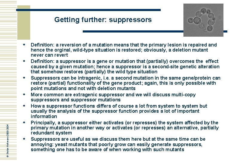 Getting further: suppressors w w © Stefan Hohmann 2000 -2004 w w w Definition: