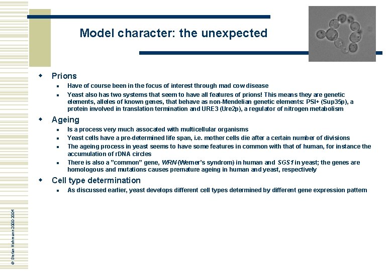 Model character: the unexpected w Prions n n w Ageing n n w Is