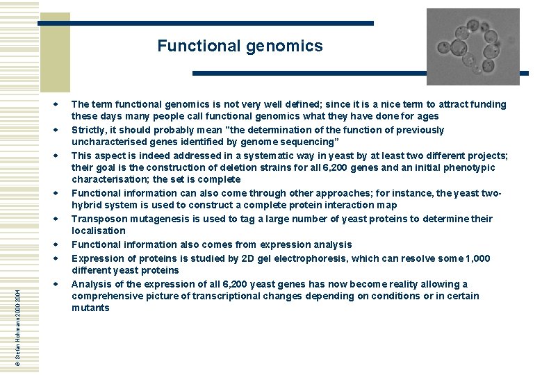 Functional genomics w w w w © Stefan Hohmann 2000 -2004 w The term