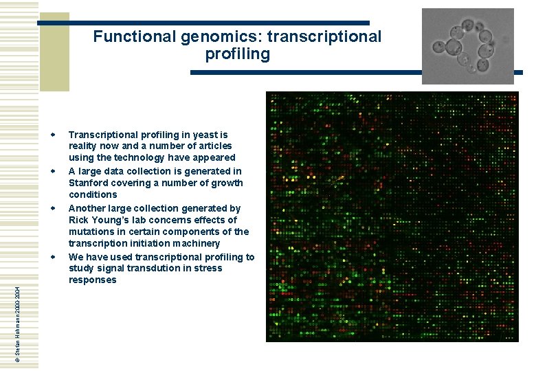Functional genomics: transcriptional profiling w w w © Stefan Hohmann 2000 -2004 w Transcriptional