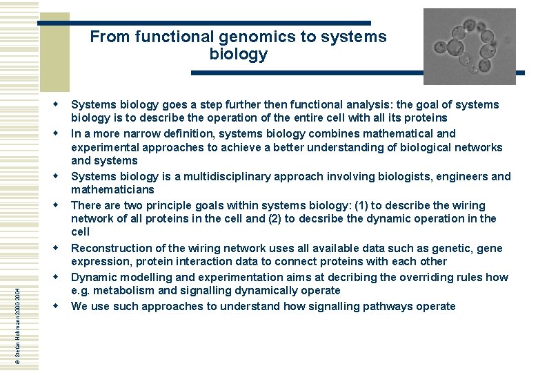 From functional genomics to systems biology w w w © Stefan Hohmann 2000 -2004