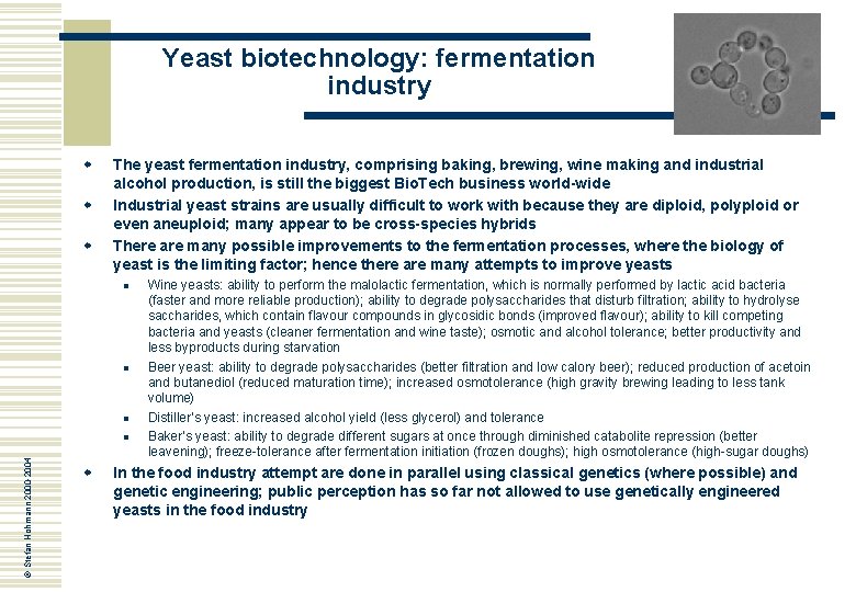 Yeast biotechnology: fermentation industry w w w The yeast fermentation industry, comprising baking, brewing,