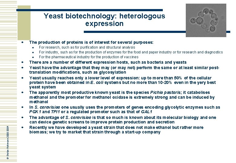 Yeast biotechnology: heterologous expression w The production of proteins is of interest for several